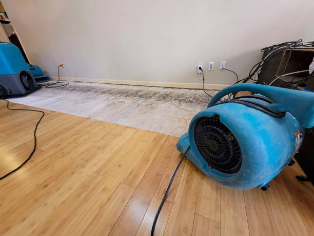 Professional Ceiling Water Damage Repair technician working in Jonesport, ME